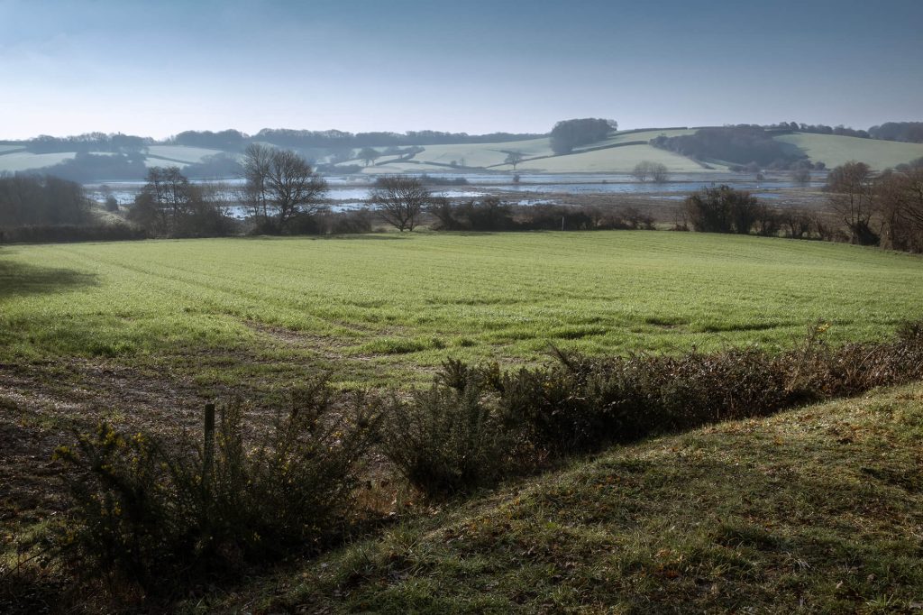 Combe Valley Flood Plain