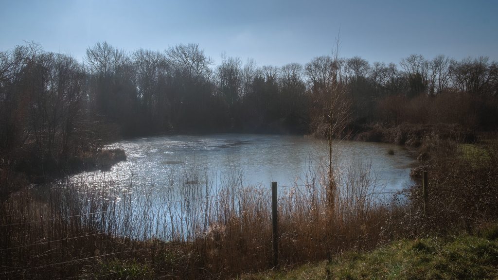 Mist rising on decoy pond, Combe Valley