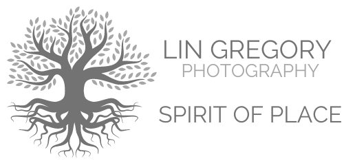 Lin Gregory Photography